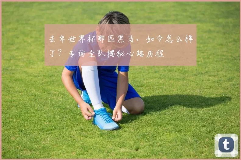 去年世界杯那匹黑马，如今怎么样了？专访全队揭秘心路历程