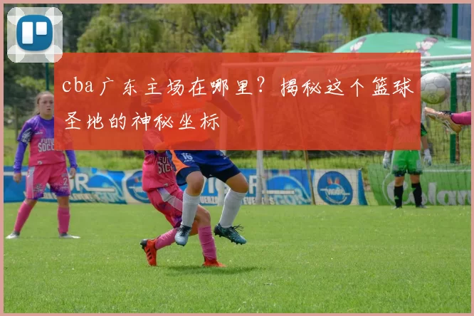 cba广东主场在哪里?揭秘这个篮球圣地的神秘坐标