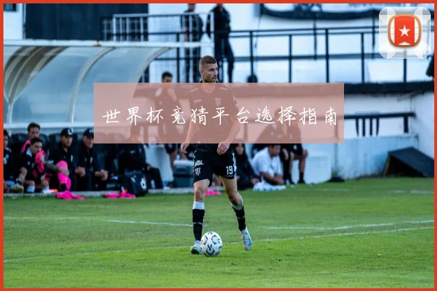 世界杯竞猜平台选择指南