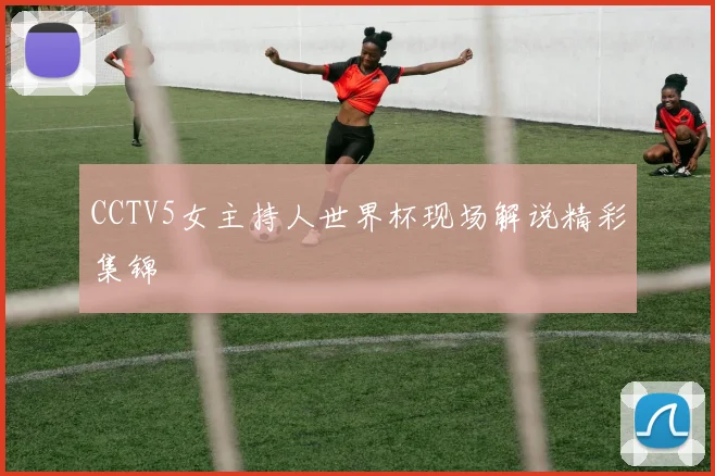CCTV5女主持人世界杯现场解说精彩集锦