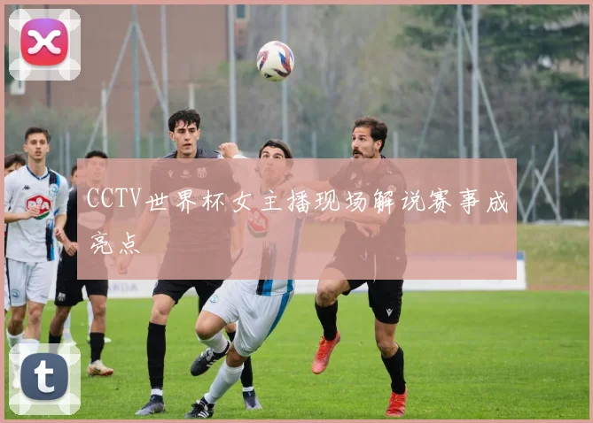 CCTV世界杯女主播现场解说赛事成亮点