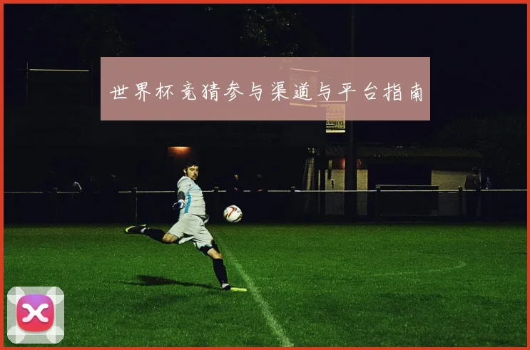 世界杯竞猜参与渠道与平台指南
